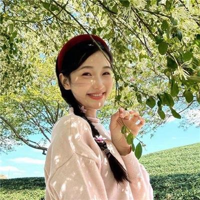 鲨鱼：风暴